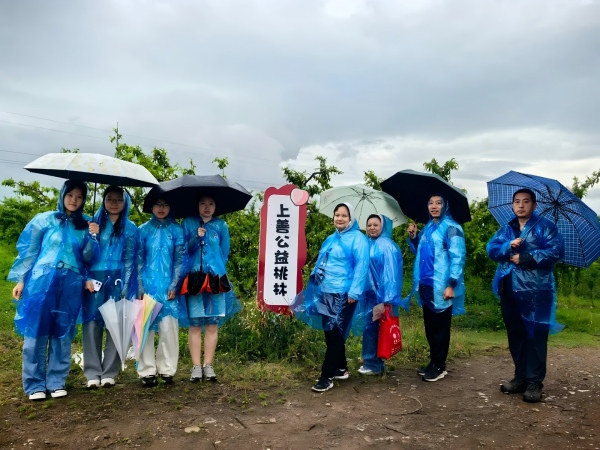上善公益桃林:大风过后,..
